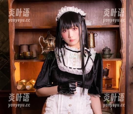 浪费在夏日里的日子：Sameki的合集狂欢