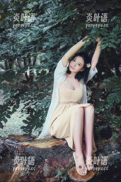 年年Nnian的全套图包：点绛唇，还是说也许我太没节制？
