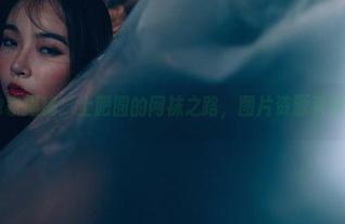 轰趴猫 – 独家揭秘：土肥圆的网袜之路，图片资源其实充满灵性！