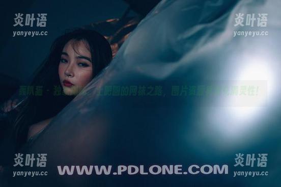 轰趴猫-土肥圆 轰趴猫 - 独家揭秘:土肥圆的网袜之路,图片资源其实充满灵性!